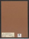 Pseudauliscus radiatus (Bail.) Rattr. (de-Toni-Nr.: Genus 172, Species 4412) Zeichnungen Sammlung Grunow Mappe 04352 (Herbarium_W_Grunow_drawings_Folder_04352)